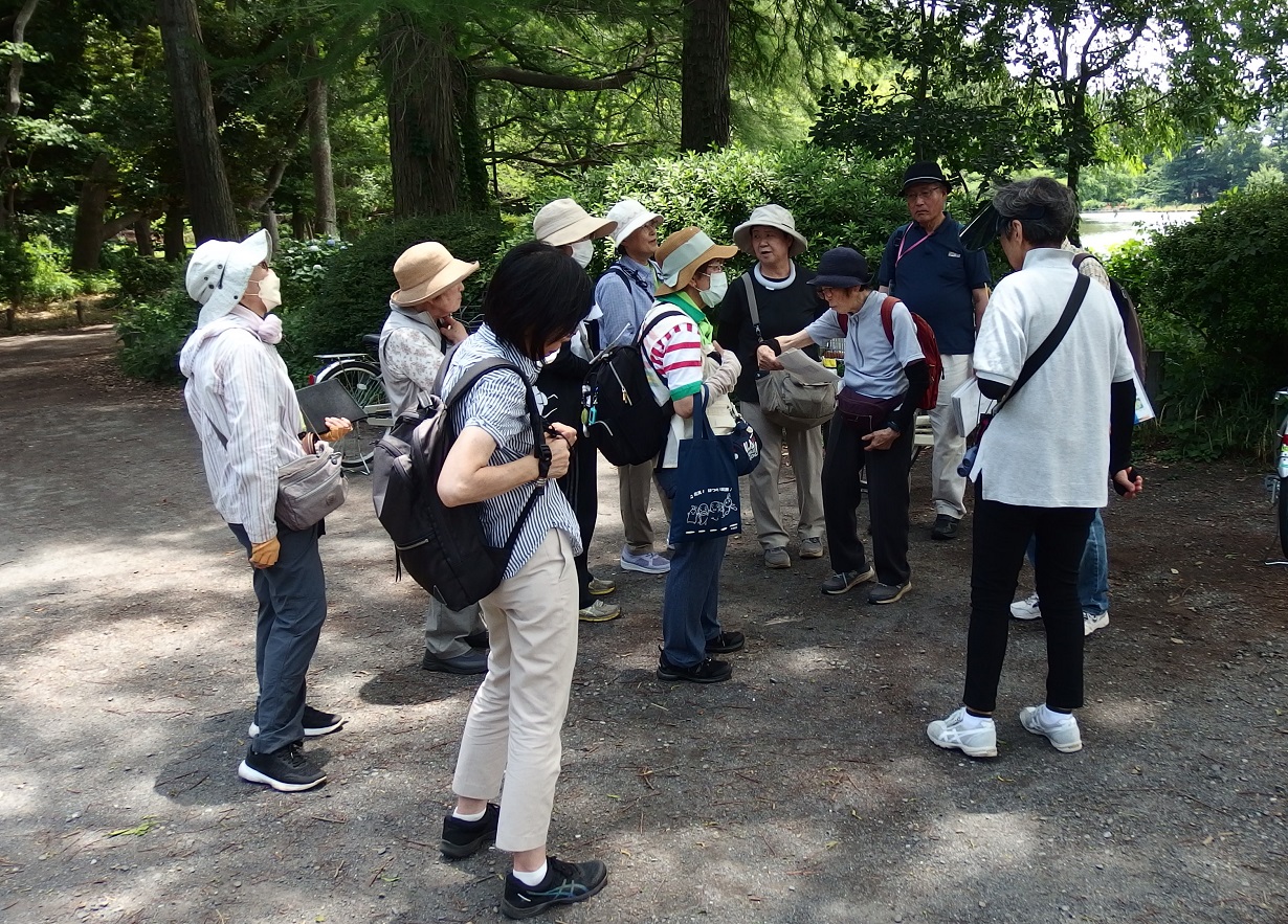 善福寺上の池　　樹木観察会　夏